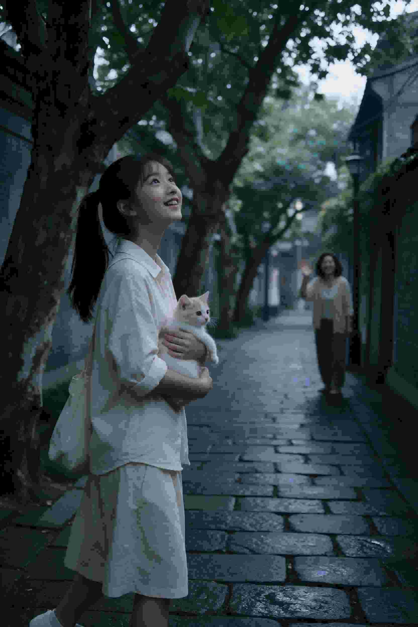何以笙箫默